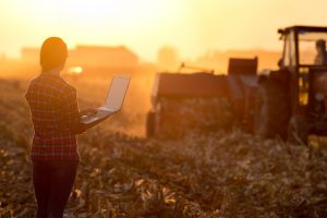 Young woman with laptop standing on field  in sunset and looking at tractor baling